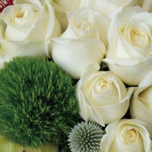 【CNFlower 西恩】CN經典 鮮花圓禮盒