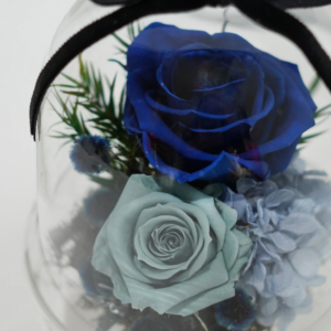 【CNFlower 西恩】甜蜜星空 恆星花禮-藍色系