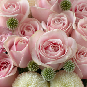 【CNFlower 西恩】甜蜜祝福 鮮花方禮盒